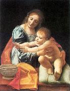 BOLTRAFFIO, Giovanni Antonio The Virgin and Child fgh France oil painting artist